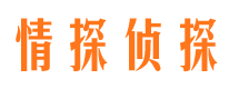 安新市私家侦探